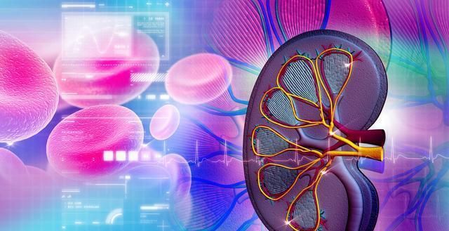 肾病并不一定会发展为尿毒症,但与肾病种类,以及生活方式有关休闲区蓝鸢梦想 - Www.slyday.coM