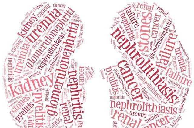 肾病并不一定会发展为尿毒症,但与肾病种类,以及生活方式有关休闲区蓝鸢梦想 - Www.slyday.coM