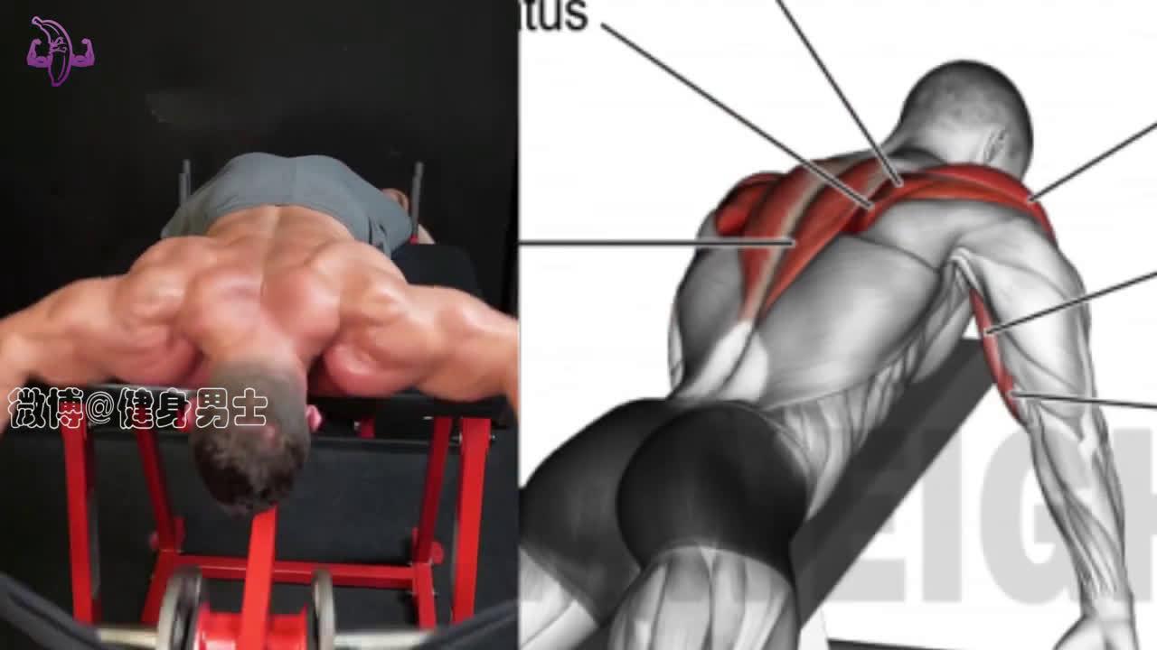 肌肉猛男示范肩部训练流程 附加肌肉图解