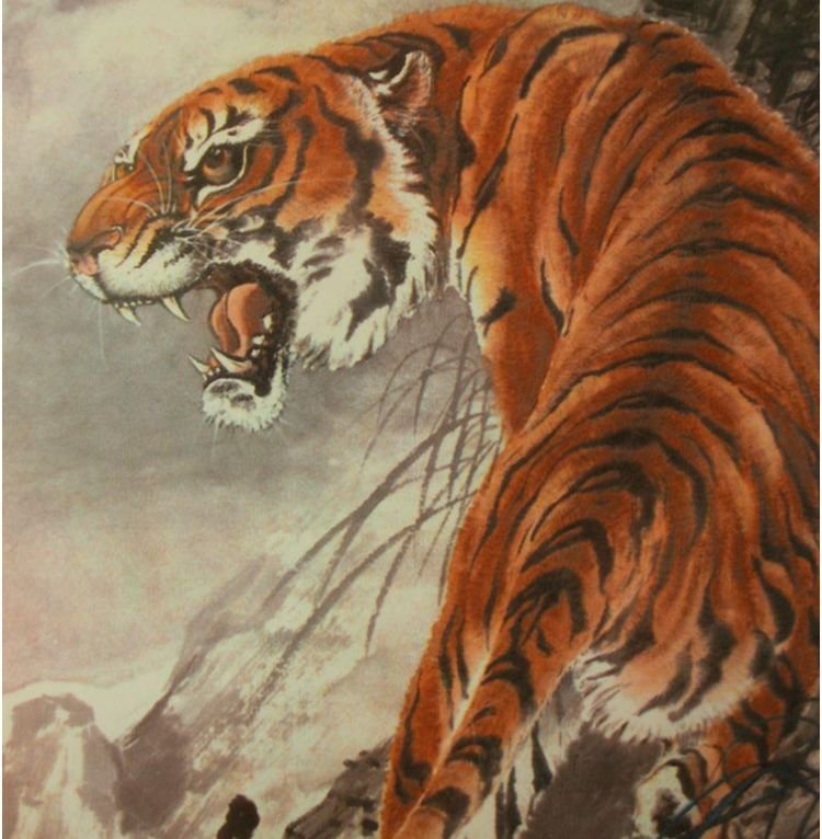 生肖虎:必须"警惕"一个人,他是你一生的敌人,2021年不得不防