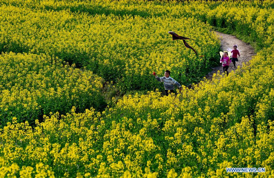 Children fly a kite in the cole flower fields in Hanzhong, northwest China's Shaanxi Province, March 13, 2021. (Xinhua/Tao Ming)