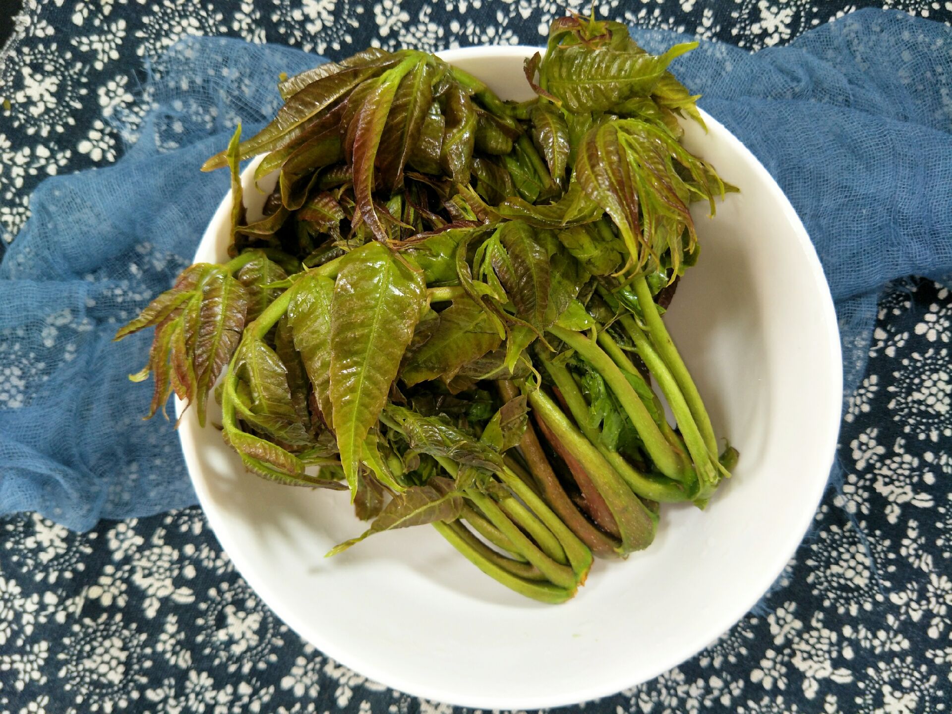 春天,买香椿芽要区分"红芽"和"绿芽",口感差别大,别乱买了