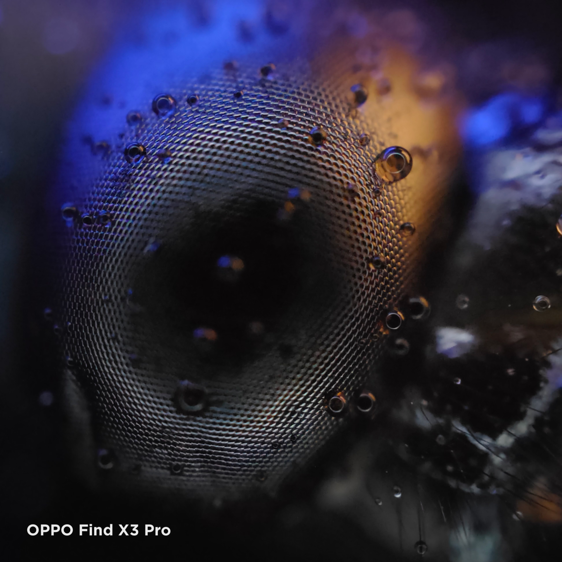 find x3显微镜可以看到什么?放大60倍后,才发现太美了!