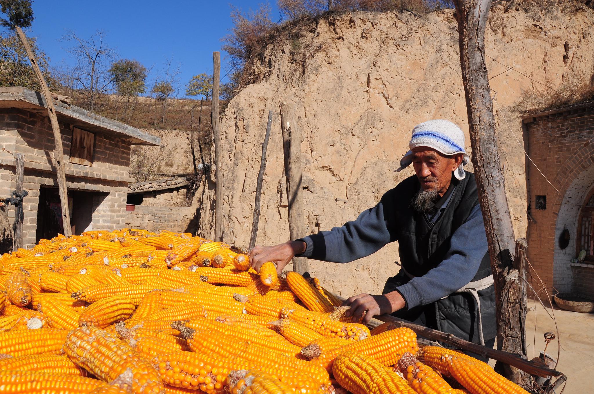 当幸福来敲门刘老汉上楼记