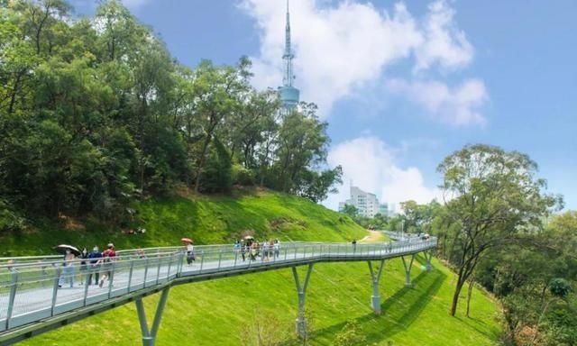 广州有一条云道徒步路线全长约8公里很多外地人都不知道