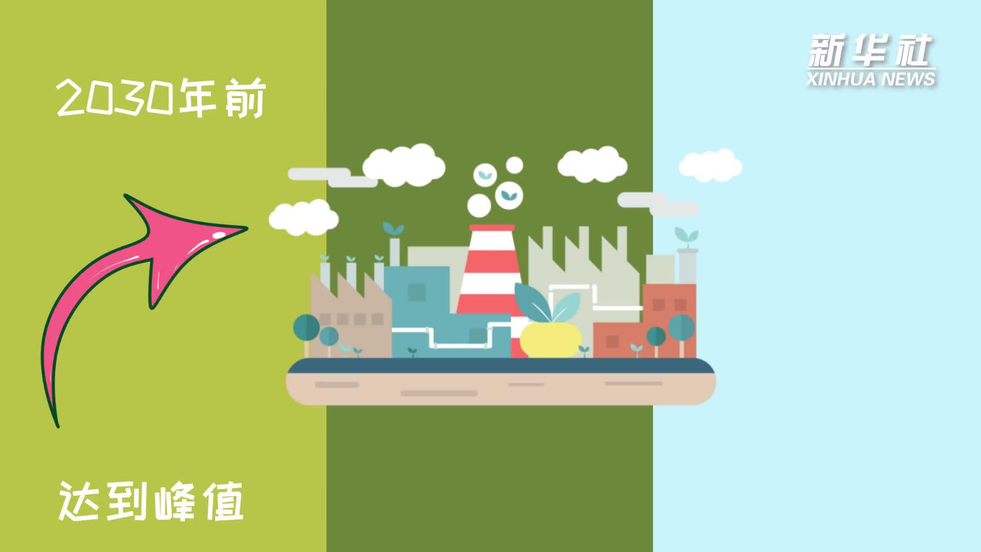 新华全媒 |关于"碳中和""碳达峰" 你需要了解这些