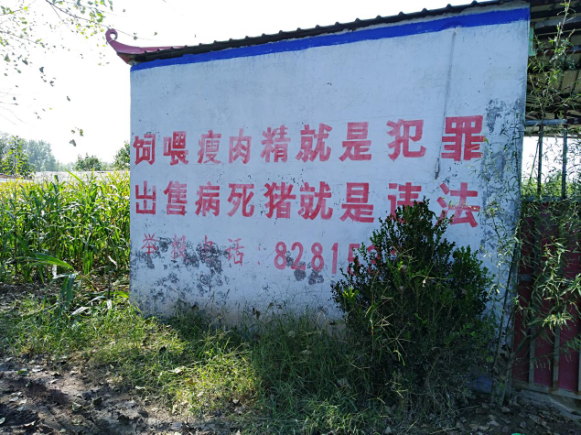 “鬼魅”瘦肉精：消费端对瘦肉的推崇倒逼养殖企业关注瘦肉率