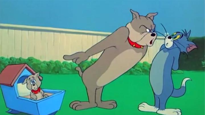 猫和老鼠:汤姆把狗宝宝吓得打嗝了,狗爸爸要揍他,他可真倒霉__财经