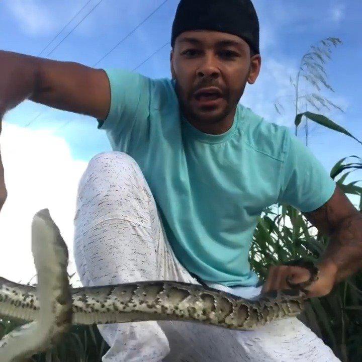 大胆男镜头前玩弄巨蟒! 蛇牙往脸部狠咬「眼球差点被挖出来」