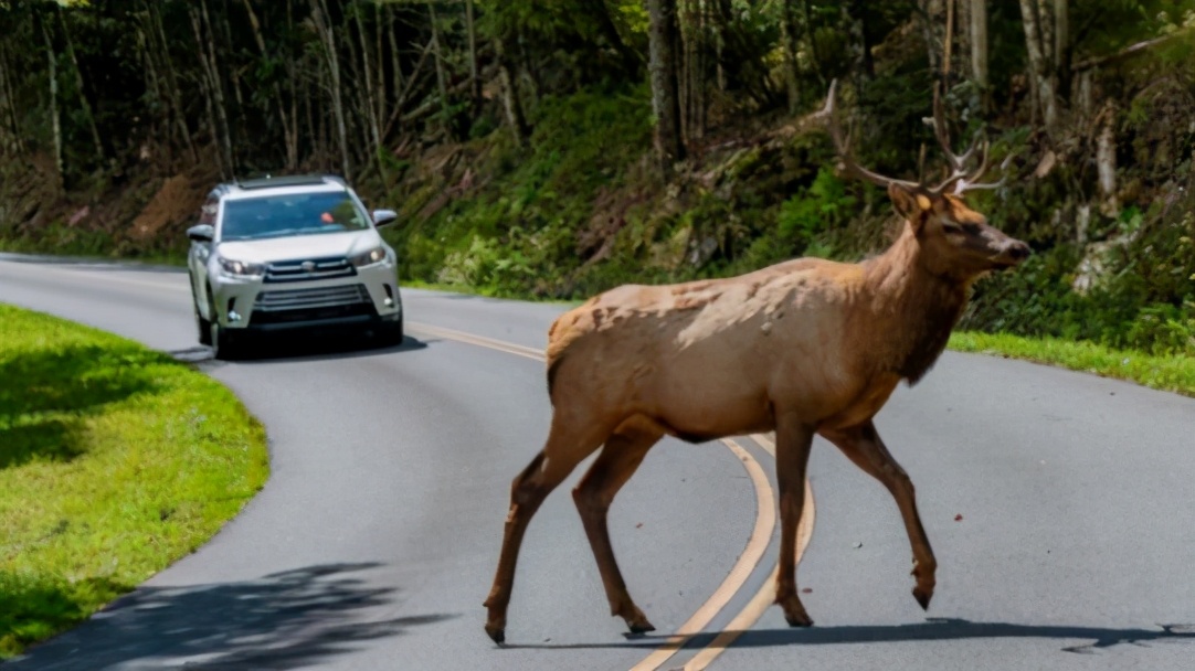百万级超跑,麋鹿测试竟不敌一款小车?