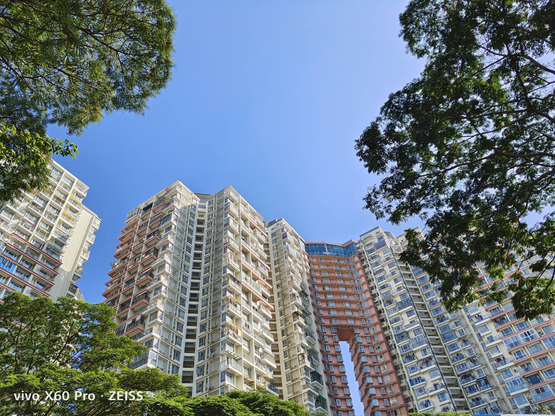 揭秘vivo x60 pro真实拍照!挑战夜景,人像大片__财经头条