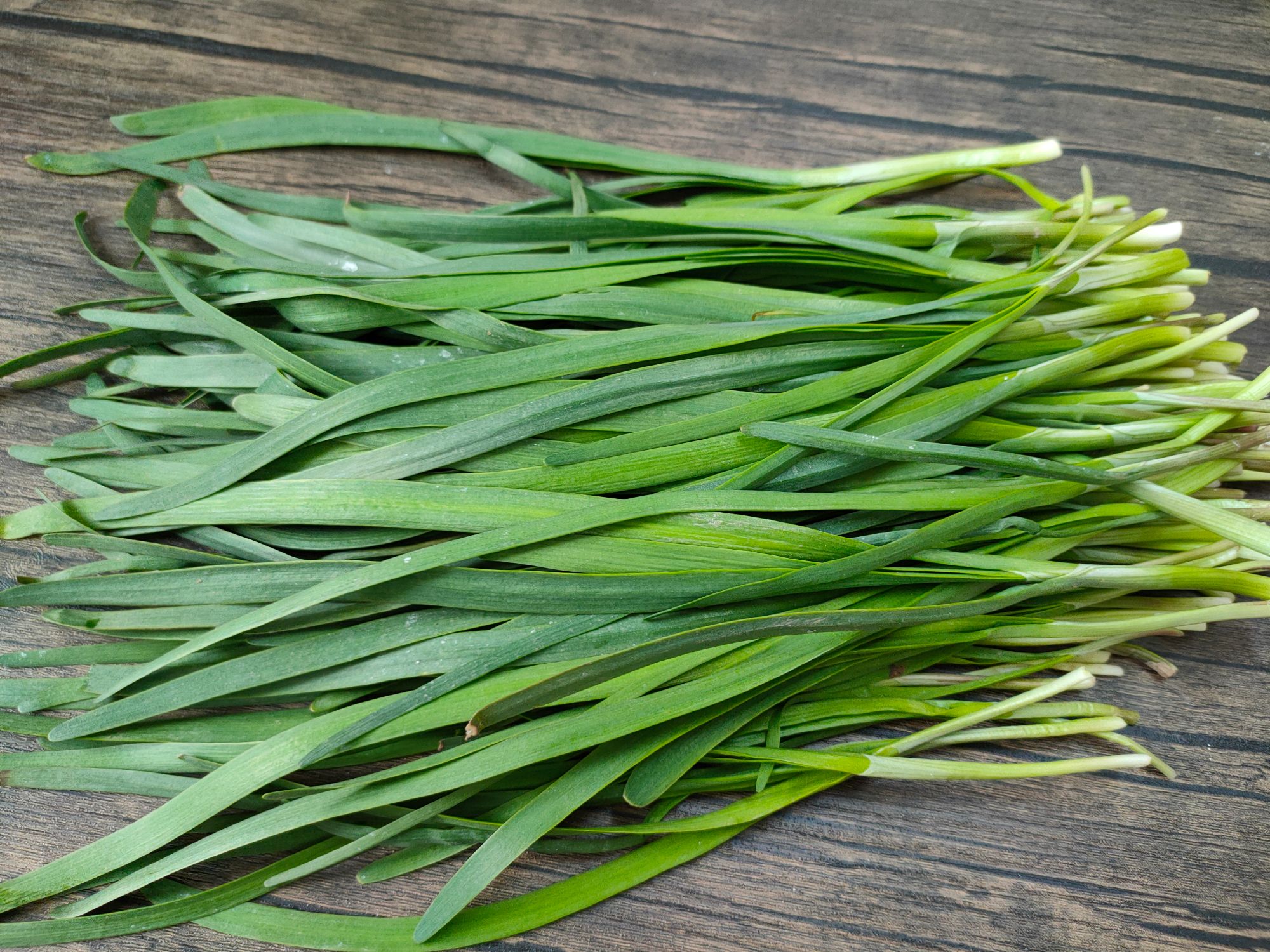 春天吃韭菜,要分清宽叶韭和窄叶韭,口感差别大,别随意买了|韭菜|口感|