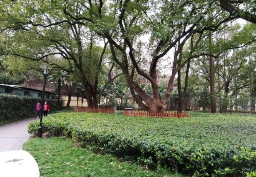 上海距今已有50多年历史的地铁站，如今被藏在一个公园内休闲区蓝鸢梦想 - Www.slyday.coM