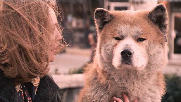 00:23 00:23 为您推荐: 张彬彬说在《司藤》中的忠犬形象是跟家里的狗