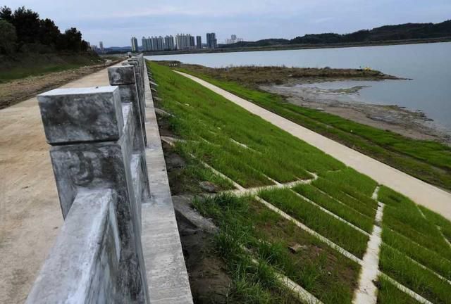 防洪堤|江东|高坪区_新浪新闻