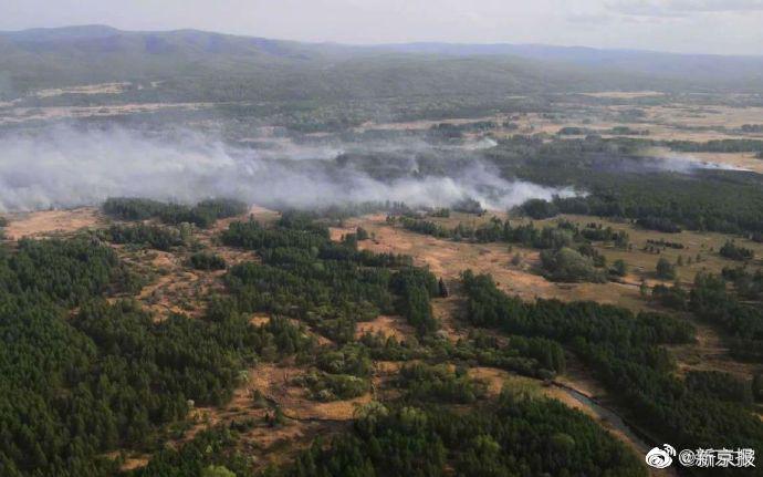 甘肃发布敦煌阳关林场防护林被毁情况