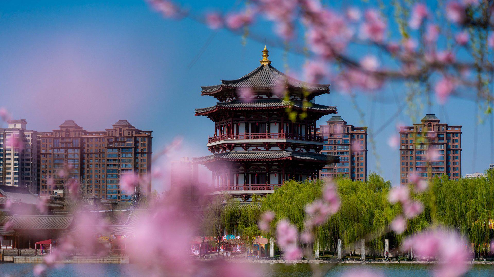 一年之计在于春阳春三月正是西安市民踏春的好季节