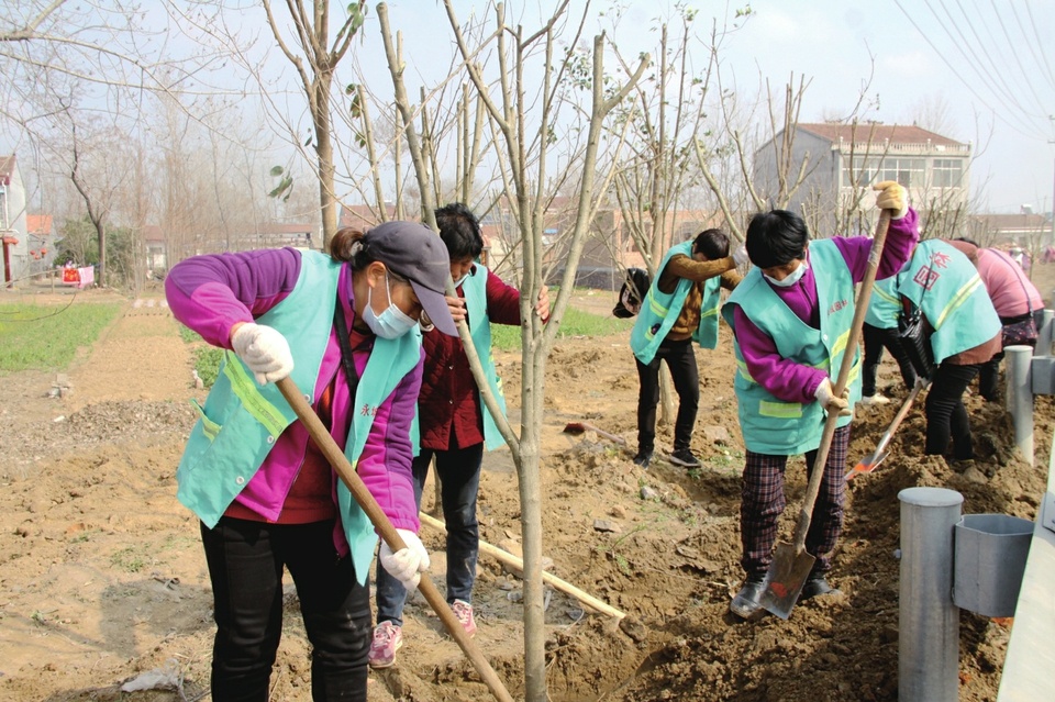 河南永城:春光正好 园林正忙