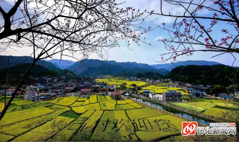 财税平台聚合力 综合治税显成效——2020年中方县财税工作发展纪实