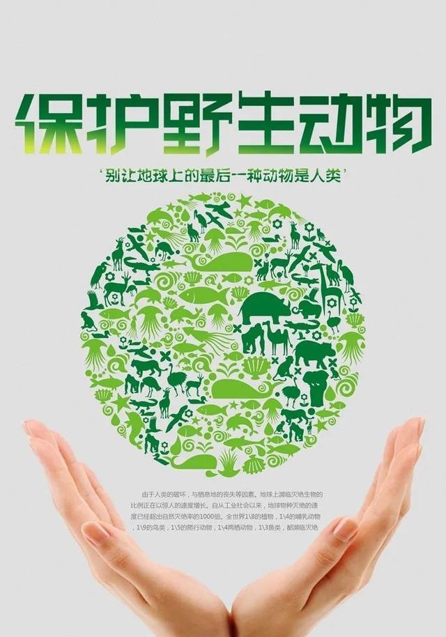 监管局2021年3·15国际消费者权益日系列宣传活动之保护野生动物篇