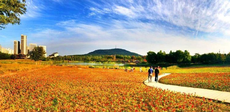 四季花海公园,对于合肥本身有着重要的意义.