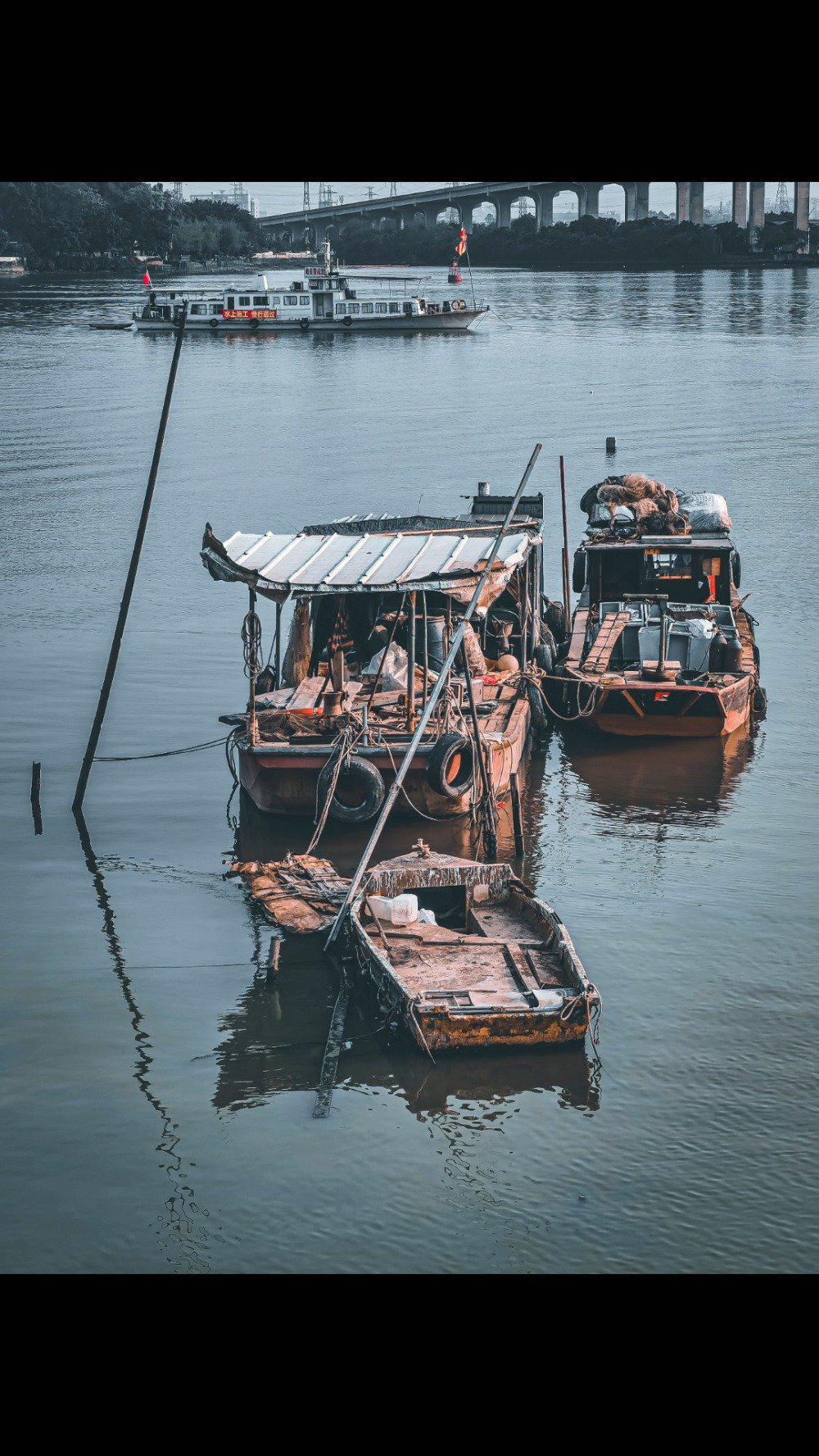 广州最后的小渔村