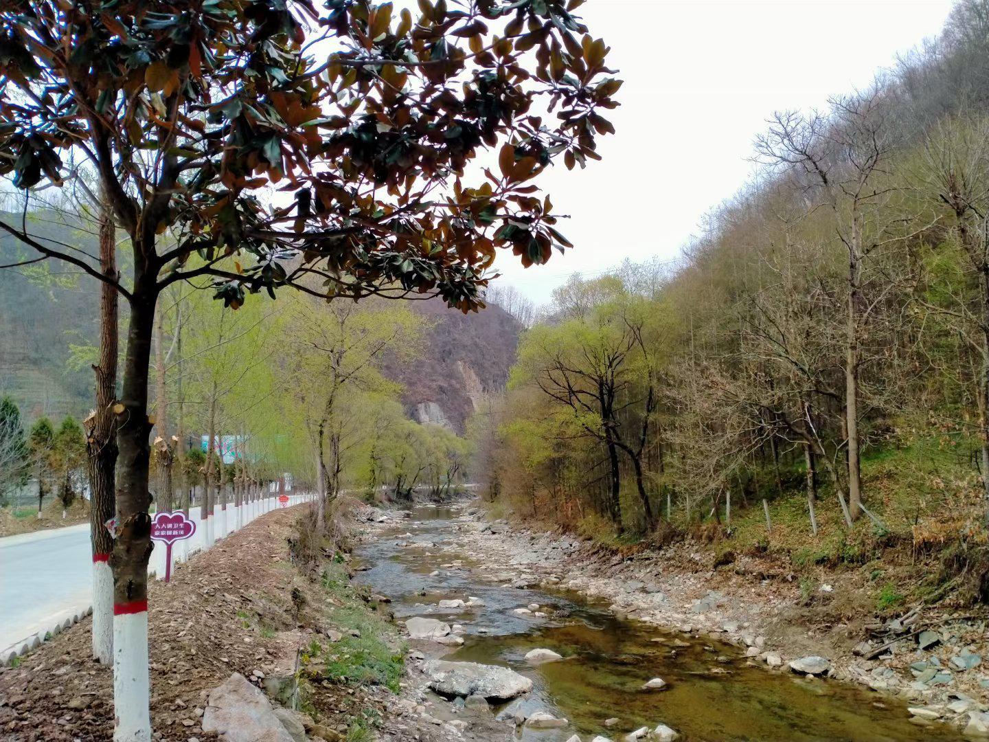 甘肃陇南市康县碾坝河畔春色正浓