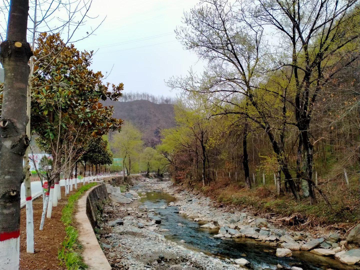 甘肃陇南市康县碾坝河畔春色正浓