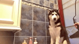 图自@表演过度鉴赏