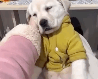 看到第五张就忍不住打哈欠了