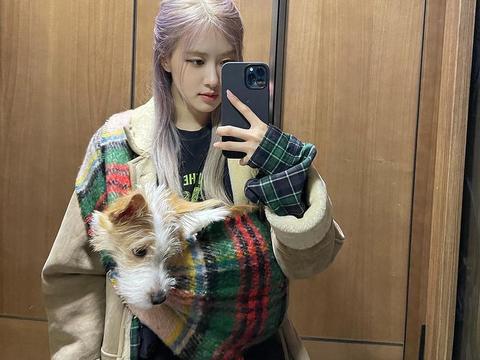 rosé带爱犬上节目可爱程度爆灯!
