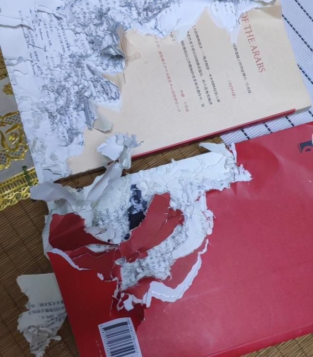 网友花70元网购一只土拨鼠,喂养不到一周的时间,麻烦事接踵而至休闲区蓝鸢梦想 - Www.slyday.coM