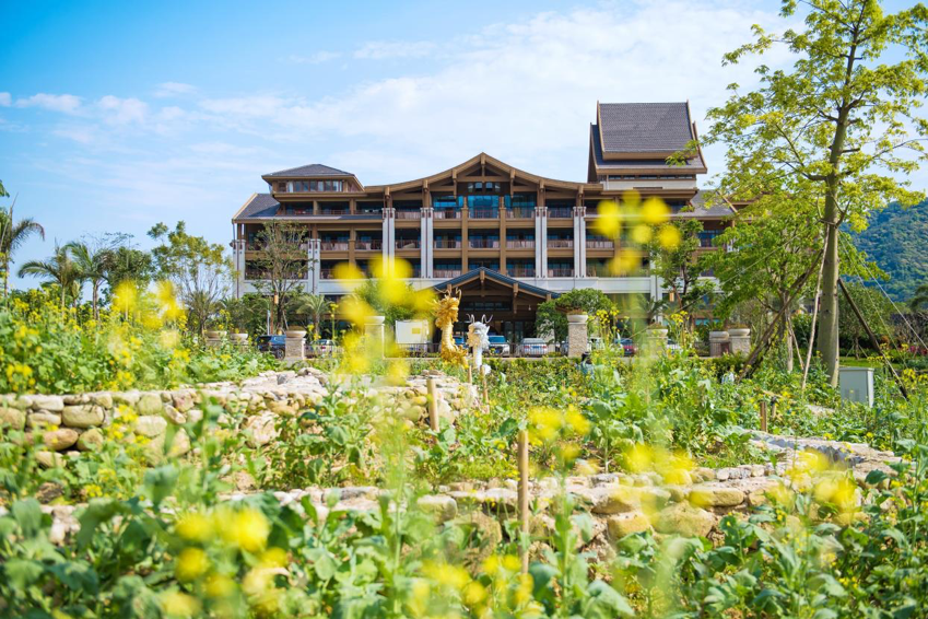 广州森林海温泉度假酒店|面朝森林海,逢春暖花开