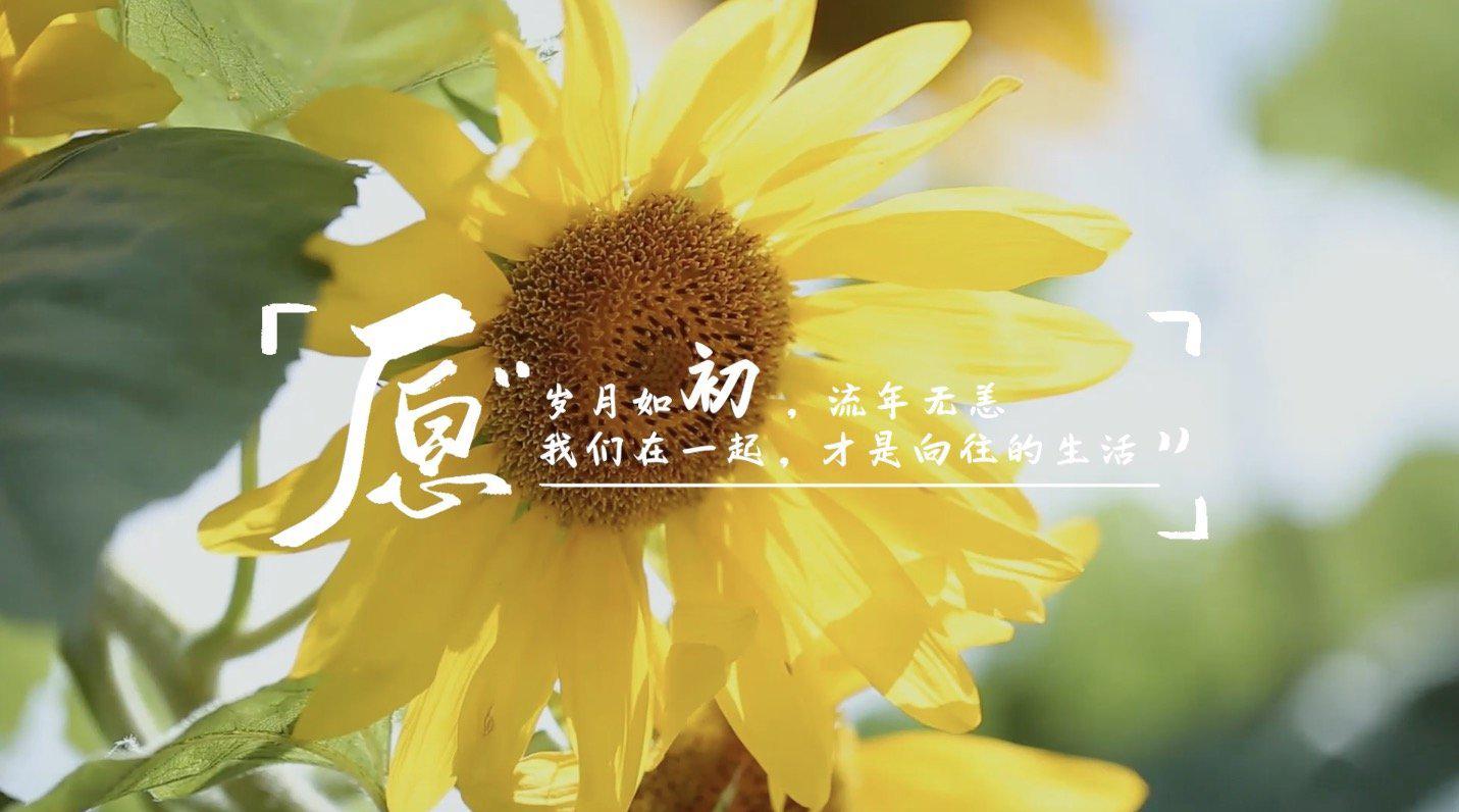 愿岁月如初,流年无恙