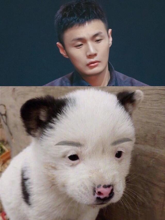 小眼睛迷人之处李荣浩晒人狗对比图我居然会对生物界有所贡献