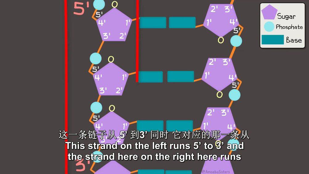 怎么查飞机要不要核酸检测