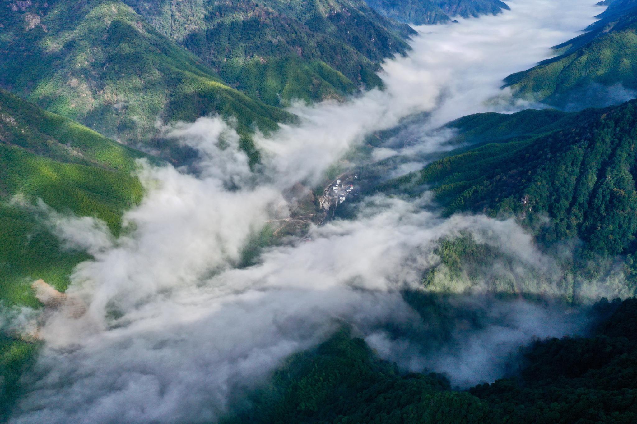 2020年12月1日,人们在云雾缭绕的武夷主峰黄岗山山顶眺望(无人机