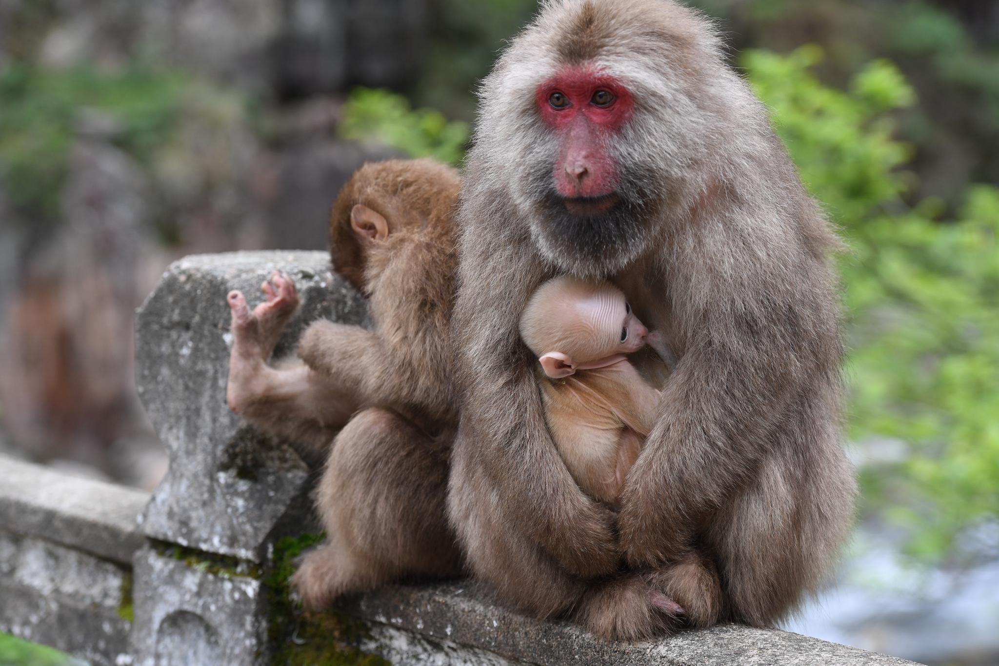 探秘武夷山国家公园