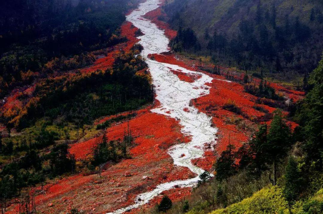燕子沟|红石滩|藻类_新浪新闻