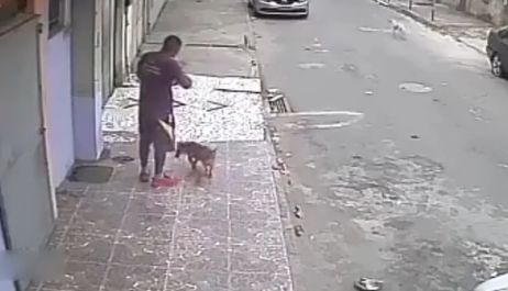 男子坐路边玩手机，被流浪狗尿了一身后，最后的结局被众人点赞休闲区蓝鸢梦想 - Www.slyday.coM