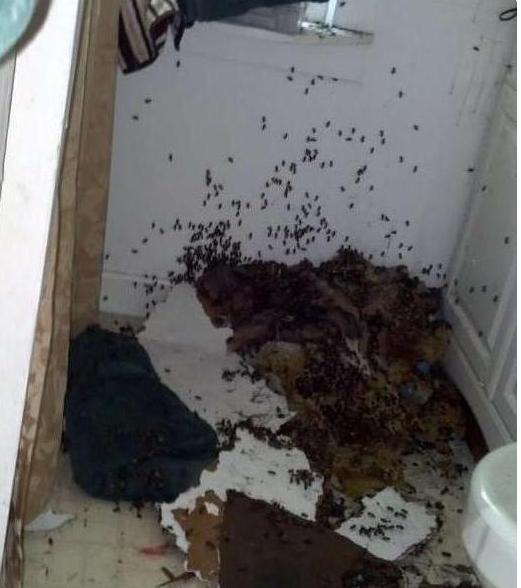 这一天,他在厕所洗衣服,突然传来"嘭"的一声巨响,他走到发出声音,眼前
