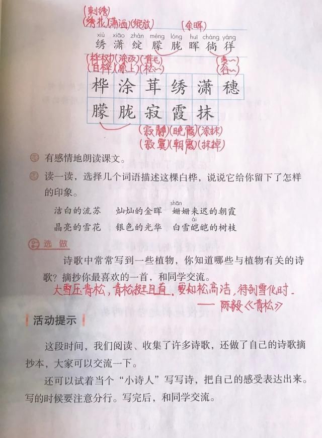 四年级语文下册第十一课白桦课文笔记孩子预习的好帮手