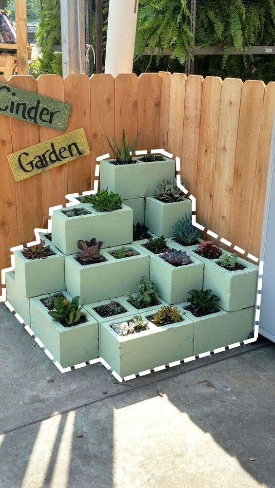 没有院子就在你家墙拐角垒几块空心砖1㎡打造一步一景一花园