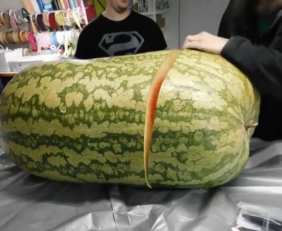 男子买的巨无霸西瓜,回家后切开一看傻了!