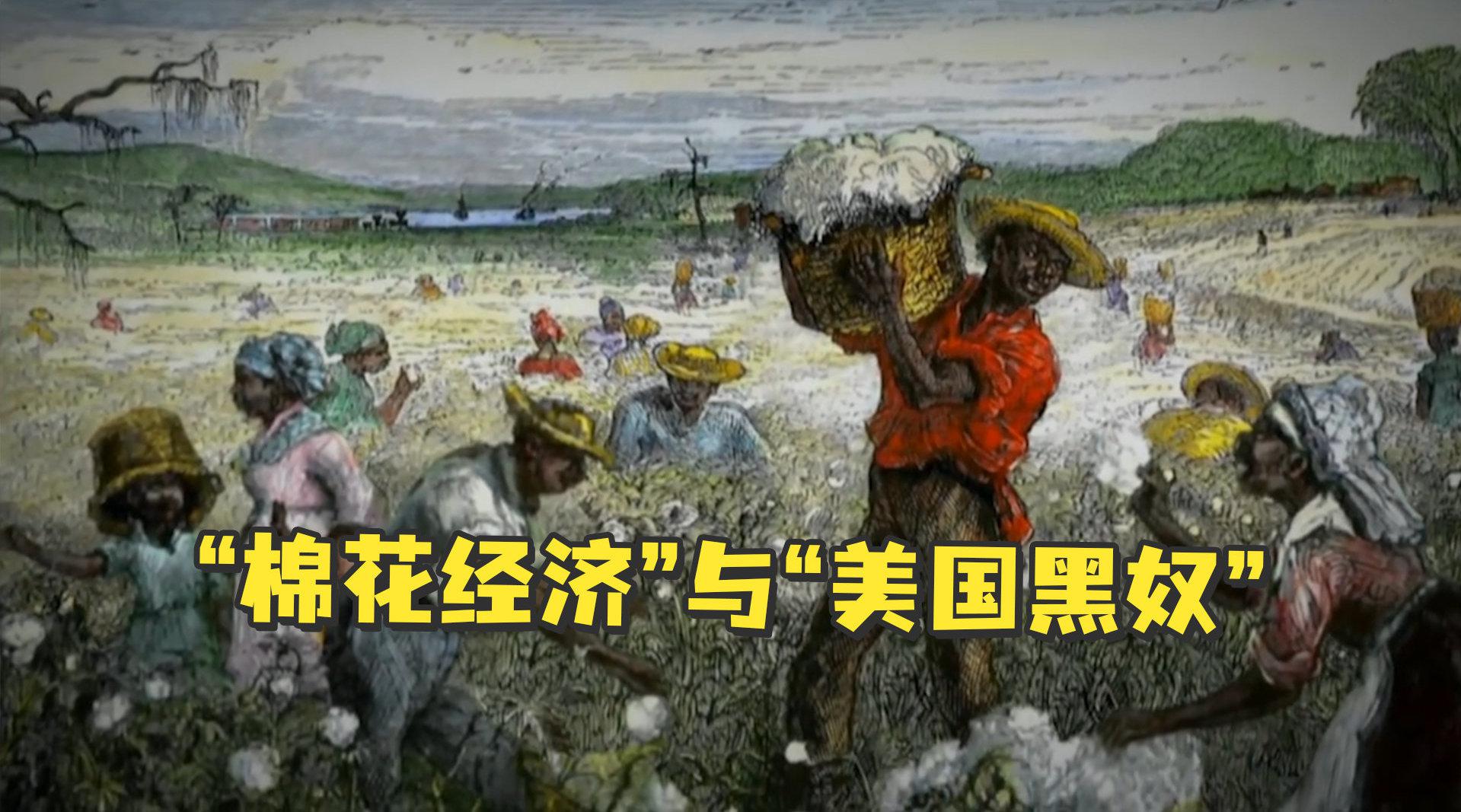 "棉花经济"与"美国黑奴"