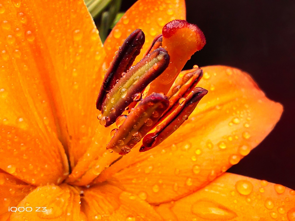 iQOO Z3快人一步的密码:120Hz高刷电竞屏与55W快充!