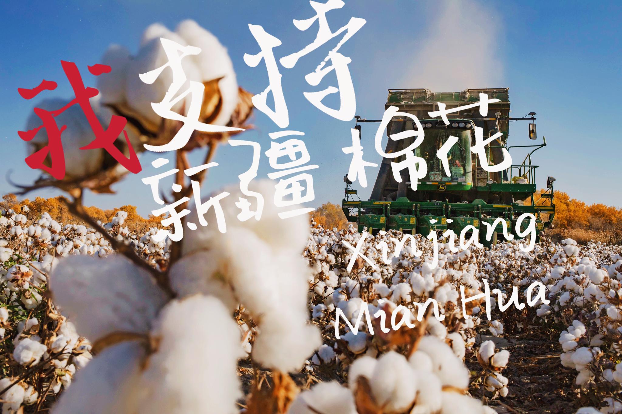新疆雪白的棉花,不容抹黑!