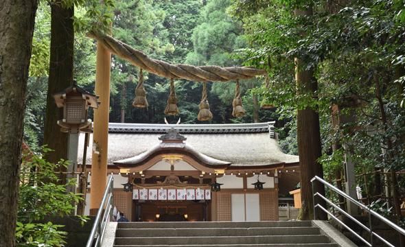 日本奈良三轮山里面通过接近神明的登拜获得力量休闲区蓝鸢梦想 - Www.slyday.coM 日本奈良三轮山里面通过接近神明的登拜获得力量休闲区蓝鸢梦想 - Www.slyday.coM