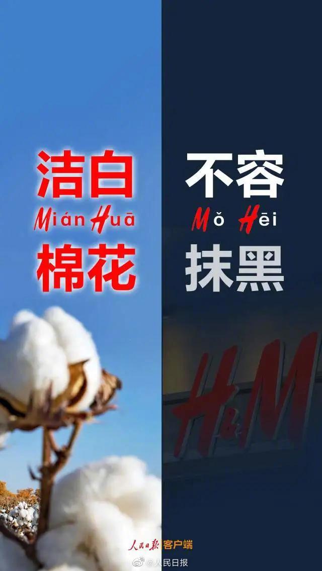不容抹黑！关于新疆棉花的六个事实休闲区蓝鸢梦想 - Www.slyday.coM