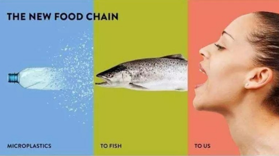 人类正在自食恶果!微塑料已入侵人体,连胎儿内部都有塑料颗粒